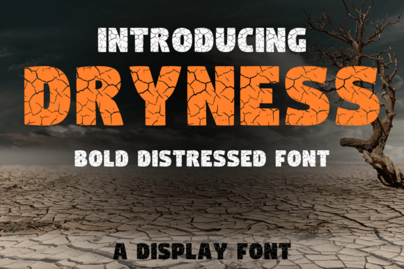 Dryness: The Display Font That Commands Attention